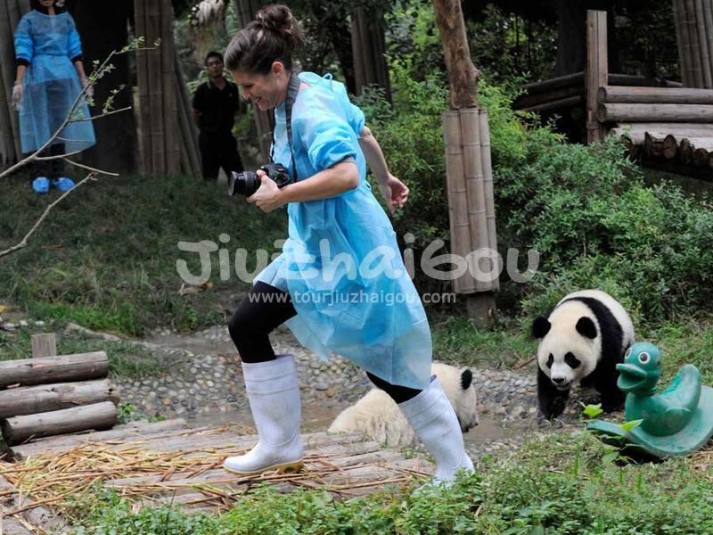 Play with Panda