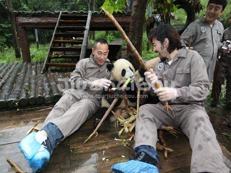 Bifengxia Panda Base
