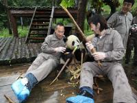 Bifengxia Panda Base