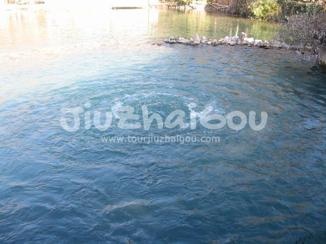 Black Dragon Pool Lijiang