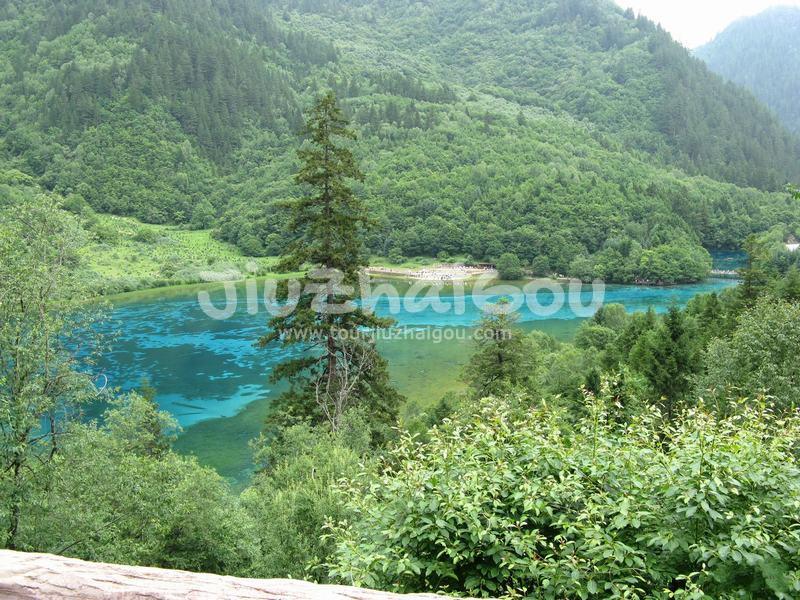  Five-Flower Lake 