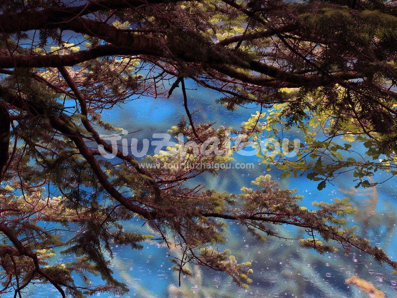 Jiuzhaigou in July