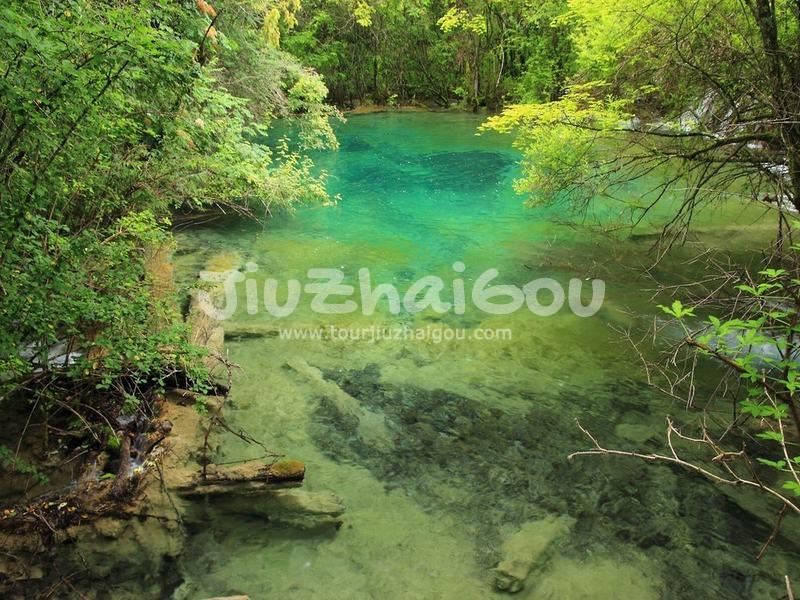 Jiuzhaigou in July
