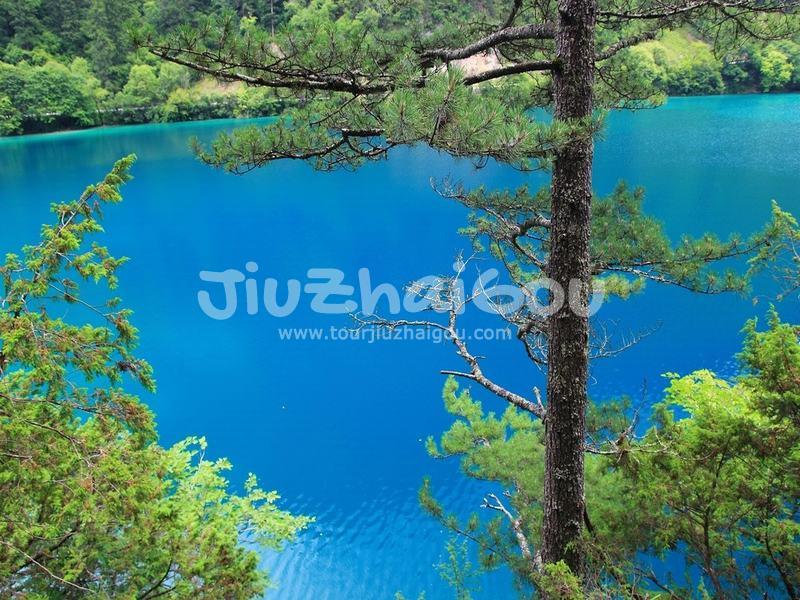 Jiuzhaigou in July