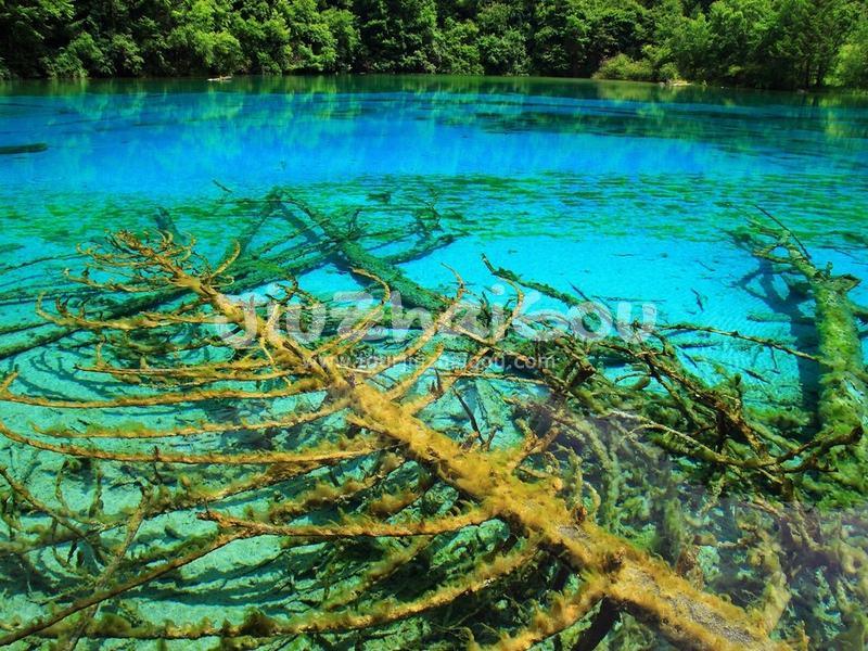 Jiuzhaigou in July