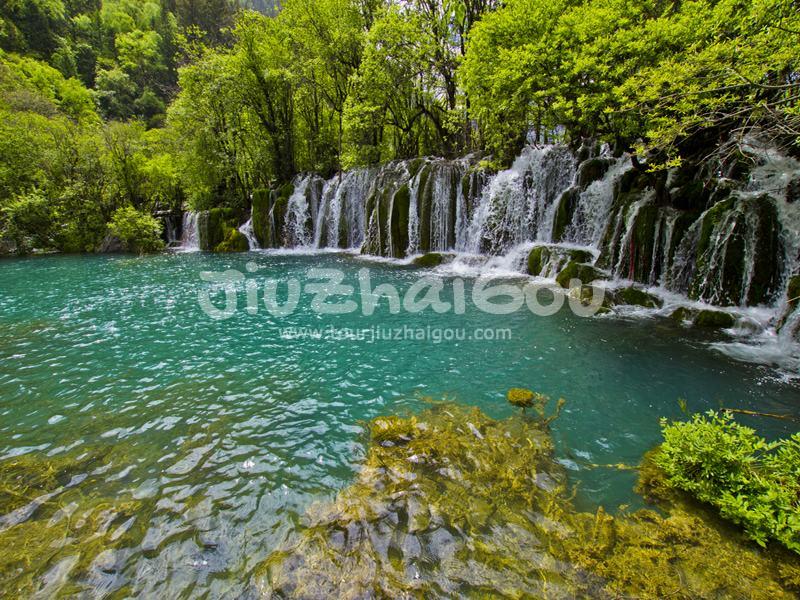 Panda Lake Waterfalls