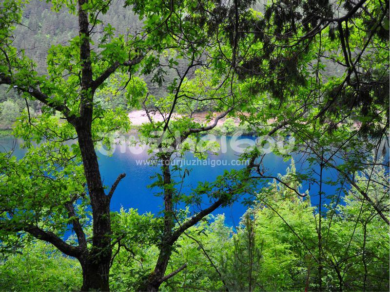 Rhinoceros Lake in Jiuzhaigou 
