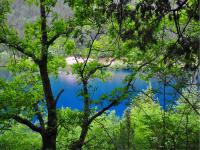 Rhinoceros Lake in Jiuzhaigou 