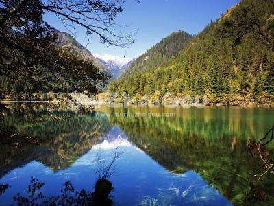 Rhino Lake in Jiuzhai Valley National Park