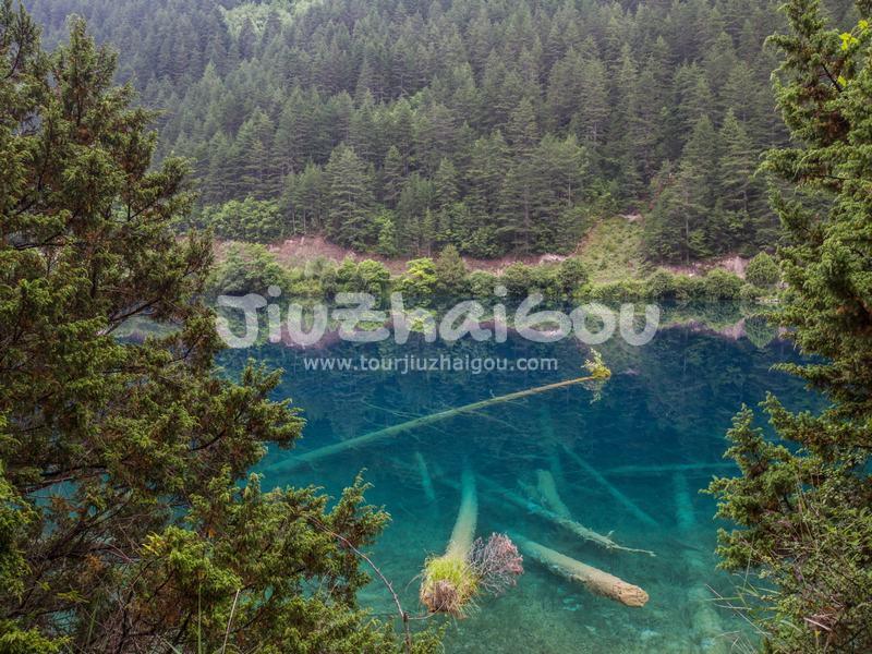 Rhinoceros Lake