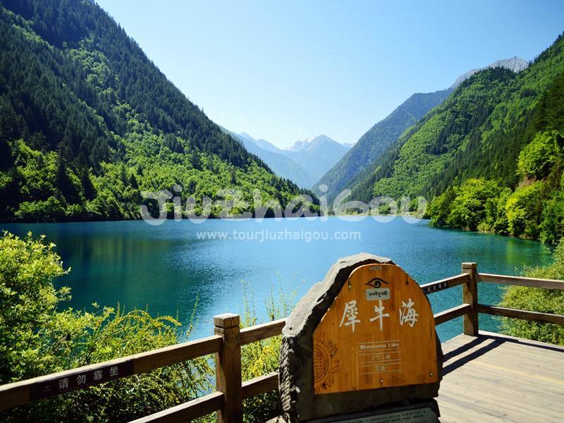 Rhinoceros Lake Jiuzhaigou, China 