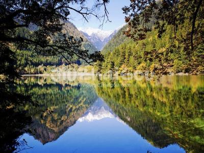 Rhinoceros Lake-Jiuzhaigou Valley