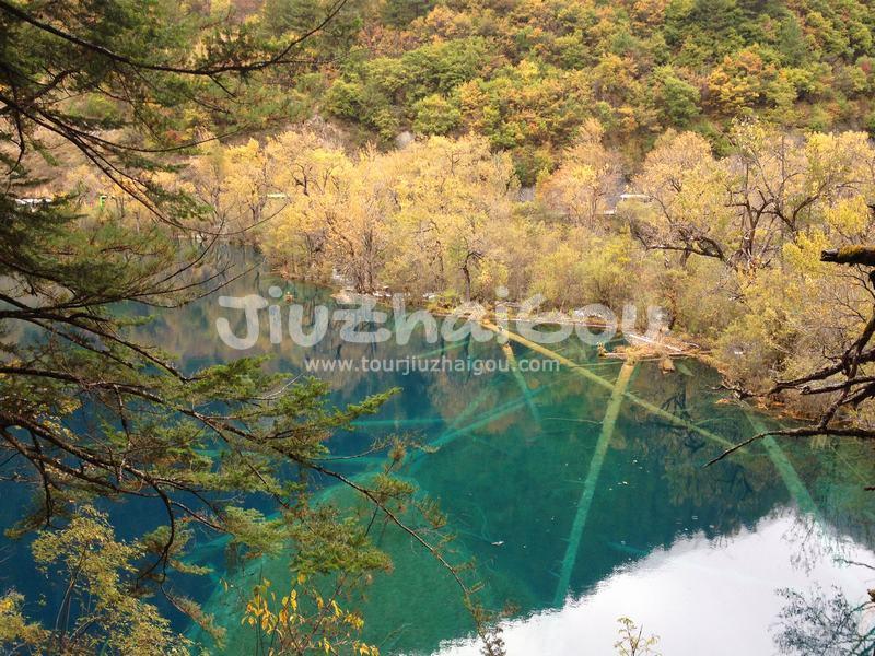 Rhinoceros Lake in Jiuzhaigou National Park 
