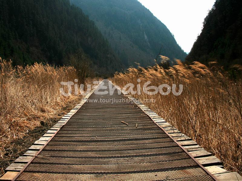 Spring in Jiuzhaigou