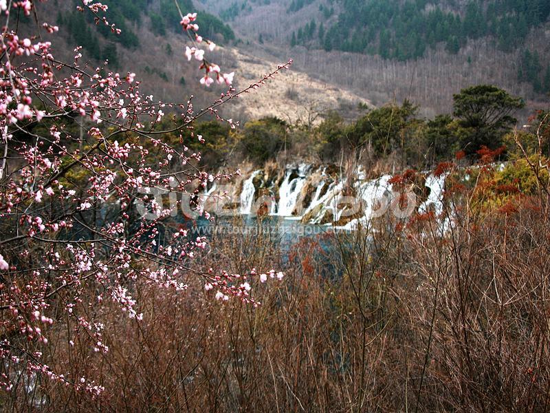 Spring in Jiuzhaigou