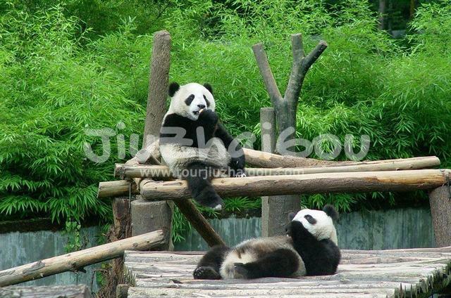 Wolong National Nature Reserve